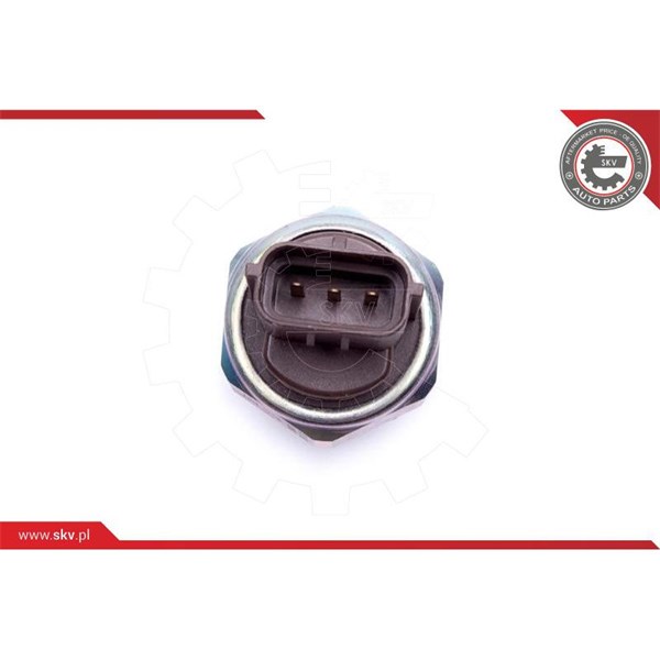 Sensor, bränsletryck Esen skv 17SKV738 ESEN SKV Sensor, bränsletryck Esen skv 17SKV738 ESEN SKV