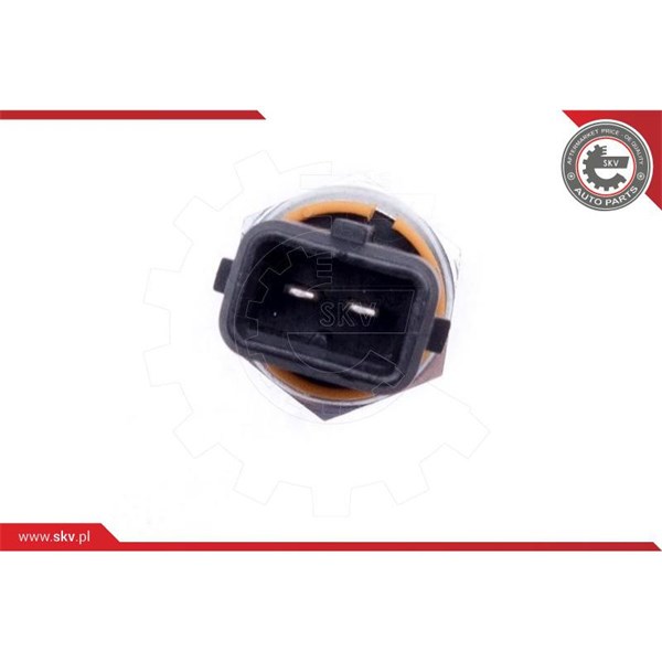 Sensor, motoroljenivå Esen skv 17SKV771 ESEN SKV