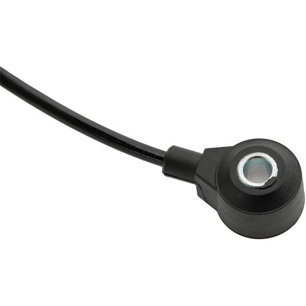 Knackningssensor Nty ESS-PL-001 NTY Knackningssensor Nty ESS-PL-001 NTY