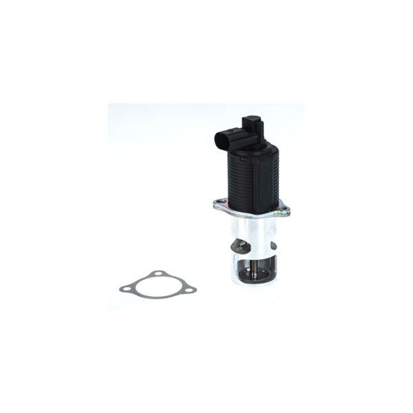 Egr-ventil Borgwarner (wahler) 710776D BorgWarner (Wahler)