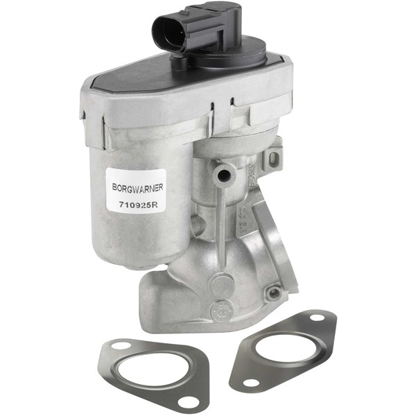 Egr-ventil Borgwarner (wahler) 710925R BorgWarner (Wahler)