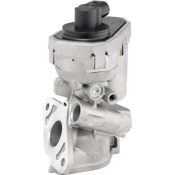 Egr-ventil Borgwarner (wahler) 710925R BorgWarner (Wahler)