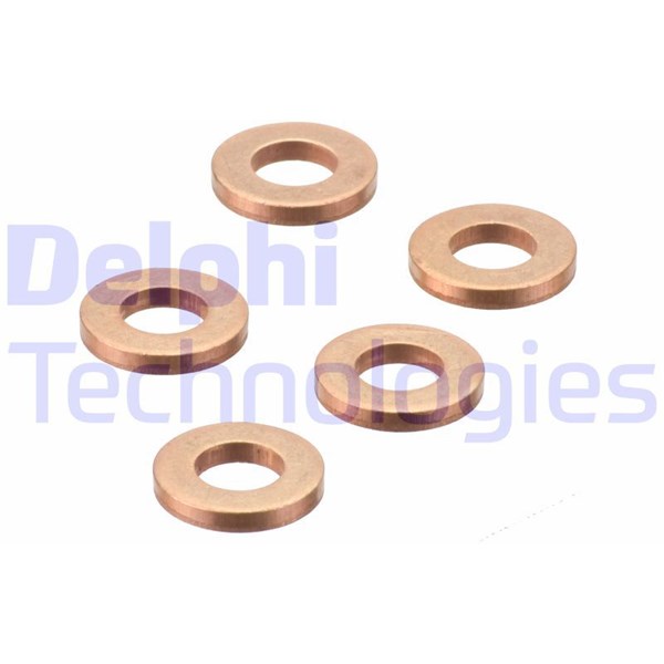 O-ring, insprutning DELPHI