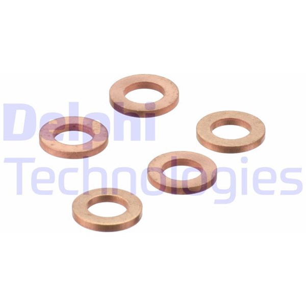 O-ring, insprutning Delphi 9001-850J DELPHI