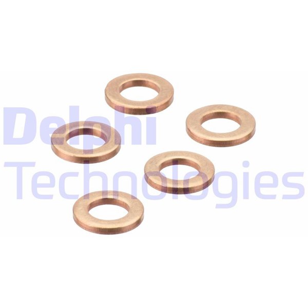 O-ring, insprutning Delphi 9001-850R DELPHI