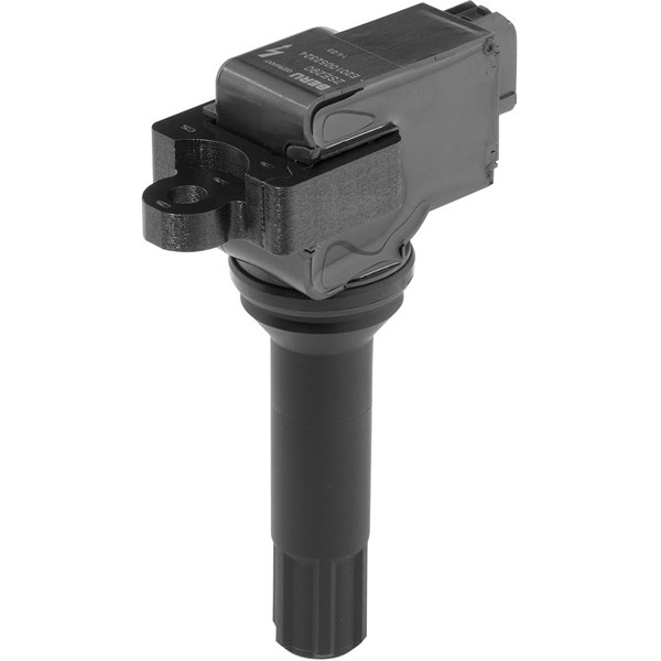 Tändspole 12V Beru ZSE290 BERU