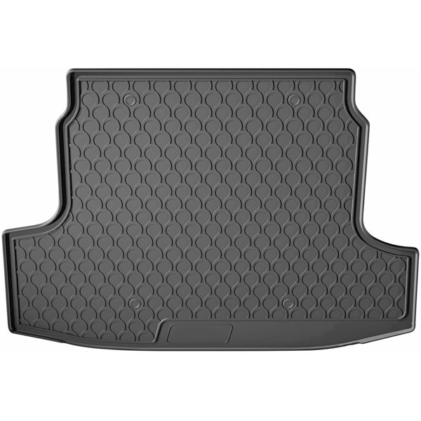 Bagage- / Lastutrymme, gummiskål Bagage- / Lastutrymme, gummiskål
