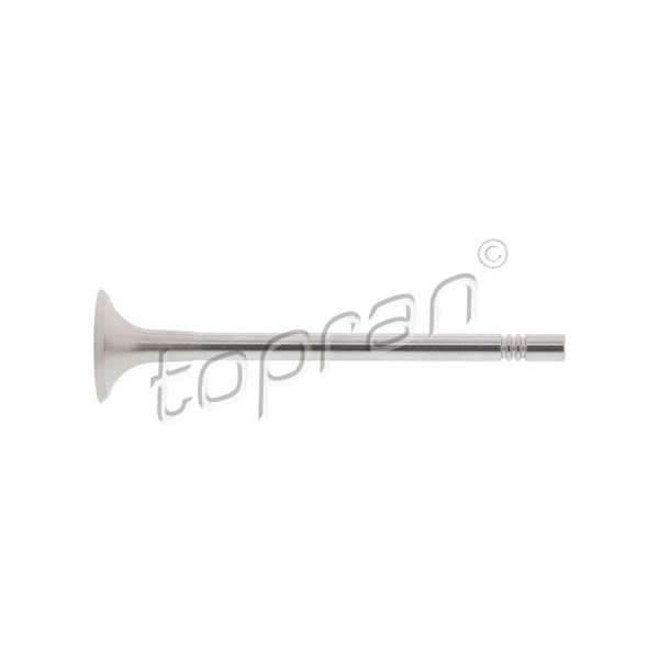 Avgasventil, Avgas-/utsläppssidan, Cylindriskt huvud Avgasventil, Avgas-/utsläppssidan, Cylindriskt huvud