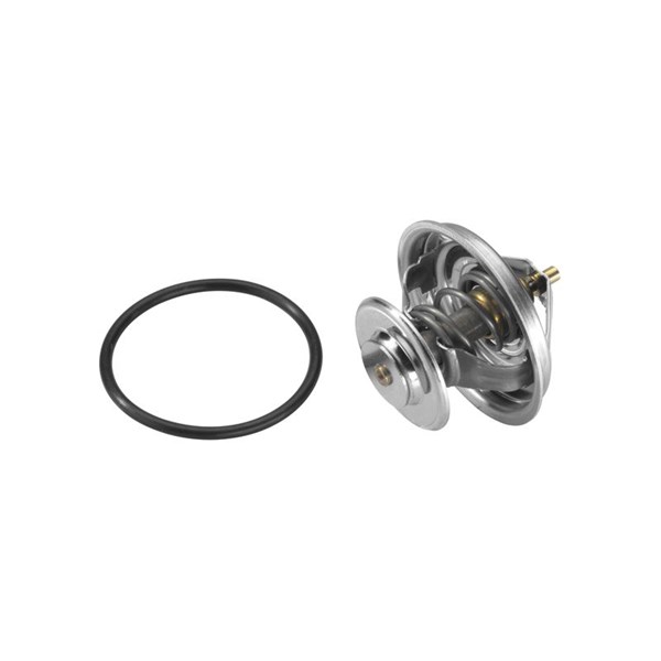 Termostat, kylvätska Borgwarner (wahler) 4105.83D BorgWarner (Wahler)