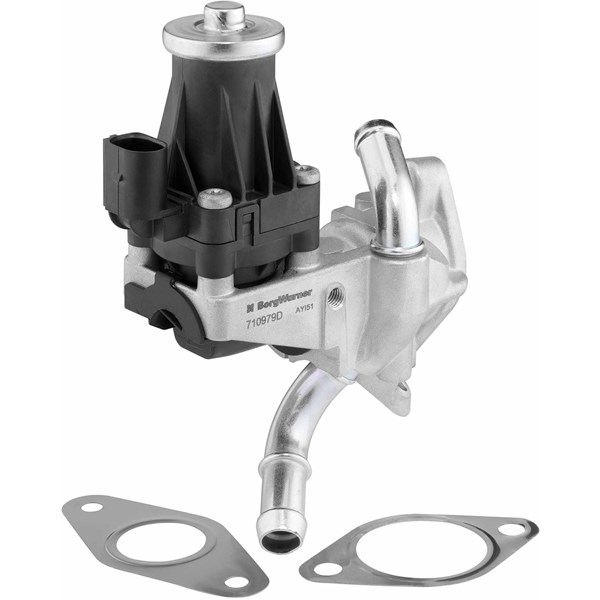 Egr-ventil Borgwarner (wahler) 710979D BorgWarner (Wahler)