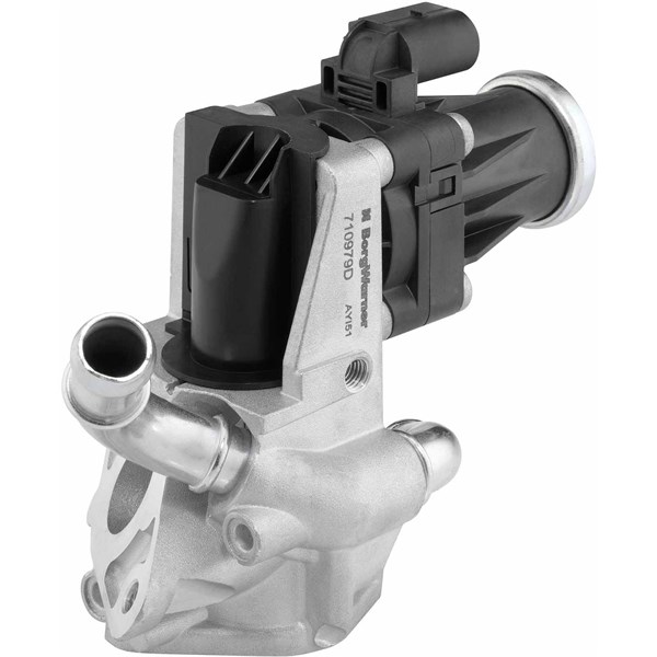 Egr-ventil Borgwarner (wahler) 710979D BorgWarner (Wahler)