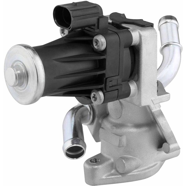 Egr-ventil Borgwarner (wahler) 710979D BorgWarner (Wahler)