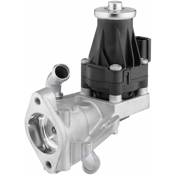 Egr-ventil Borgwarner (wahler) 710979D BorgWarner (Wahler)