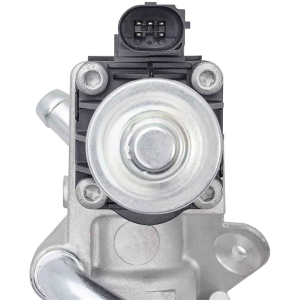 Egr-ventil Borgwarner (wahler) 710979D BorgWarner (Wahler)
