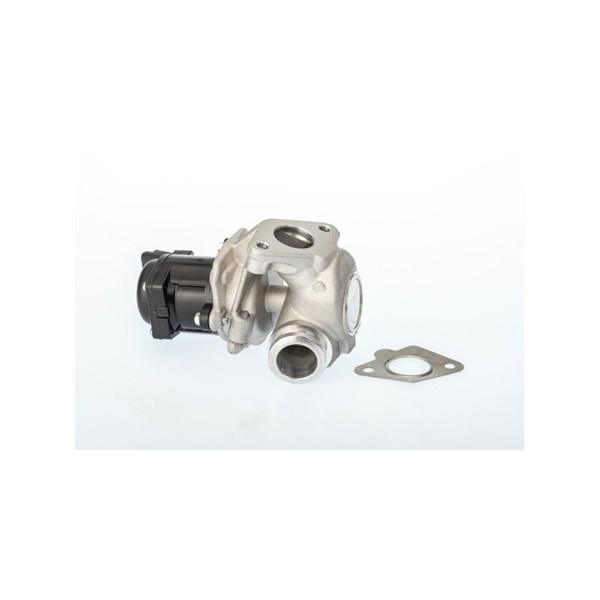 Egr-ventil Borgwarner (wahler) 711021D/1 BorgWarner (Wahler)