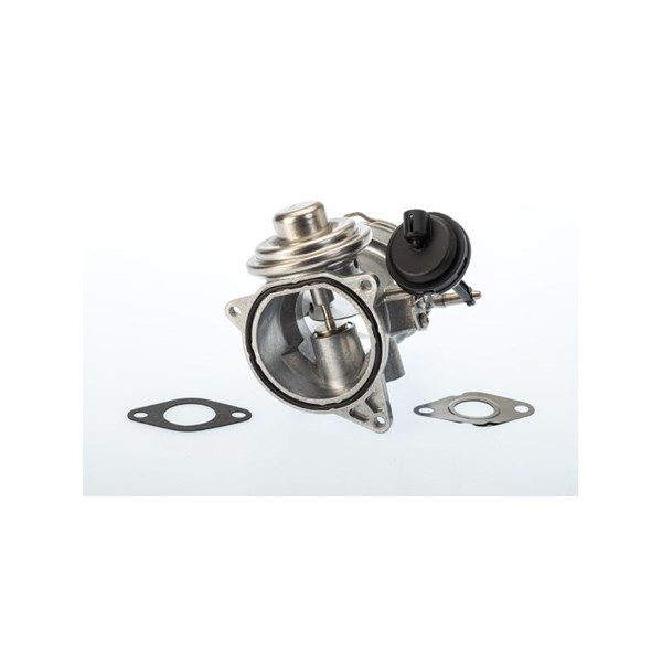Egr-ventil Borgwarner (wahler) 7650D/1 BorgWarner (Wahler)