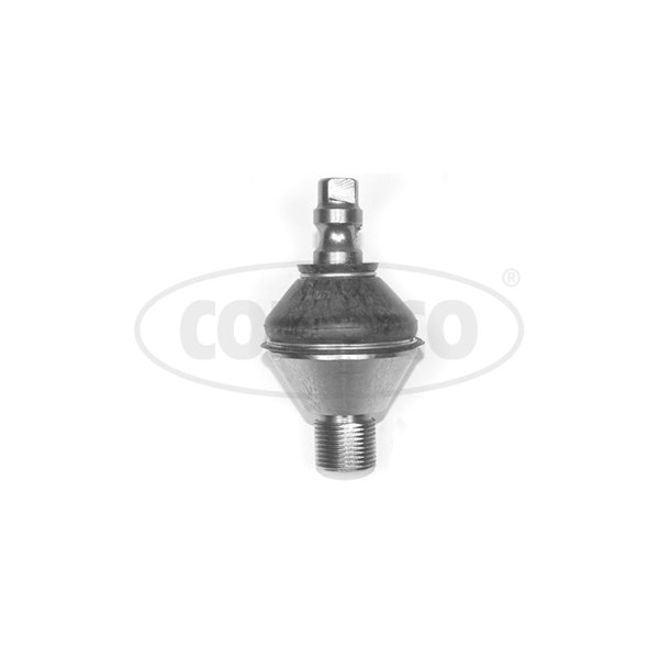 Kulled / Spindelled, Övre framaxel, framaxel höger, framaxel väns CORTECO Kulled / Spindelled, Övre framaxel, framaxel höger, framaxel väns CORTECO