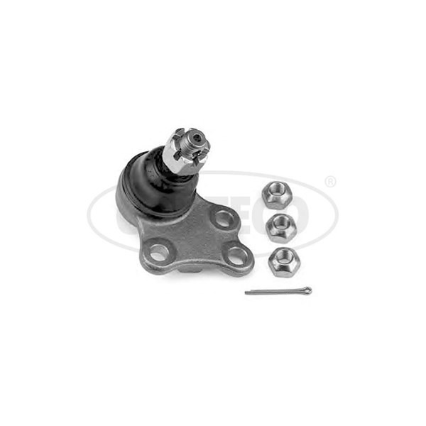Kulled / Spindelled, framaxel höger, Nedre Corteco 49395996 CORTECO