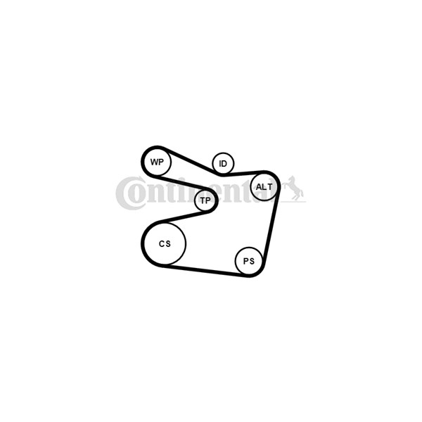 Drivremsats Contitech 6PK1555K2 CONTITECH Drivremsats Contitech 6PK1555K2 CONTITECH