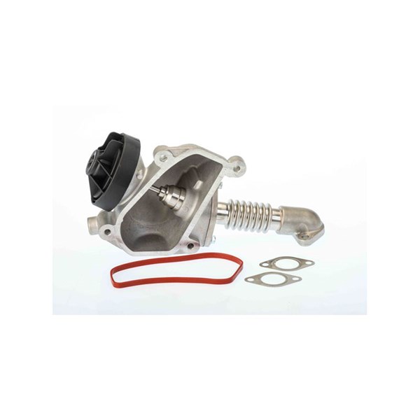 Egr-ventil Borgwarner (wahler) 7206D BorgWarner (Wahler)