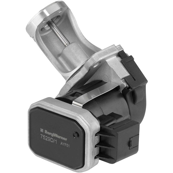 Egr-ventil Borgwarner (wahler) 7529D BorgWarner (Wahler) Egr-ventil Borgwarner (wahler) 7529D BorgWarner (Wahler)