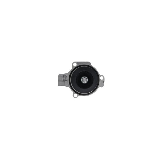 Vattenpump Valeo 529539 VALEO