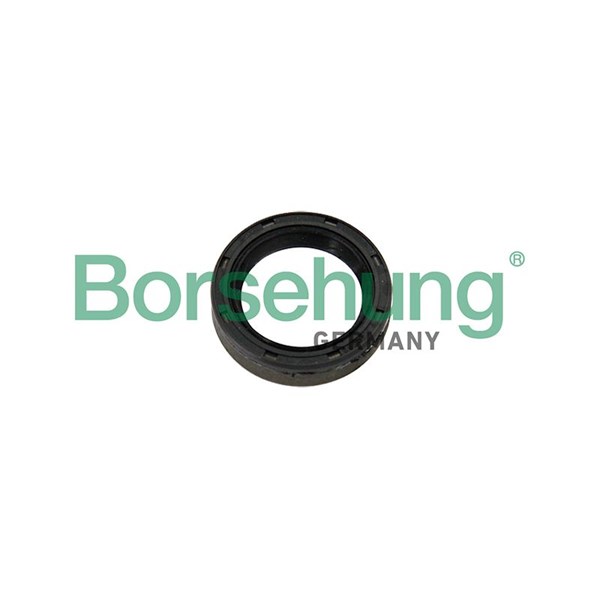 Oljepackningsring, manuell transmission Borsehung B12192 Borsehung
