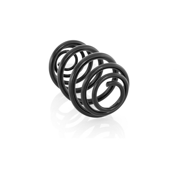 Spiralfjäder, Bakaxel, Bakaxel höger, Bakaxel vänster GH