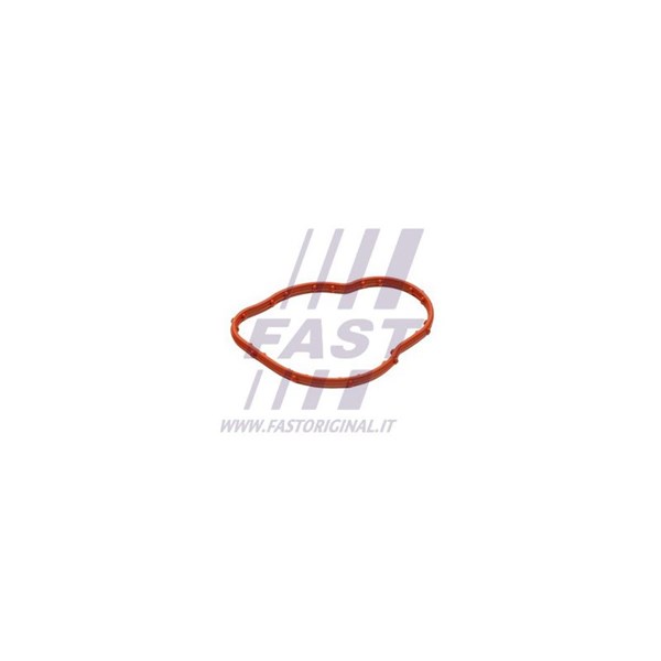 Packning, termostat Fast FT58305 FAST