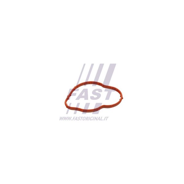 Packning, termostat Fast FT58305 FAST