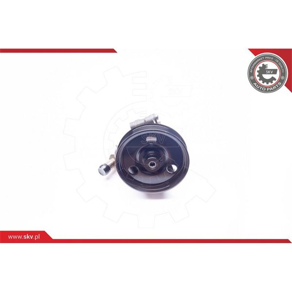 Servopump Esen skv 10SKV114 ESEN SKV