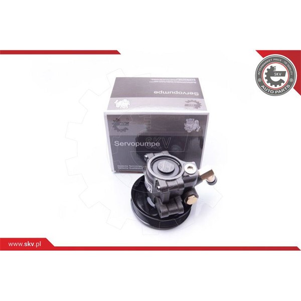 Servopump Esen skv 10SKV114 ESEN SKV