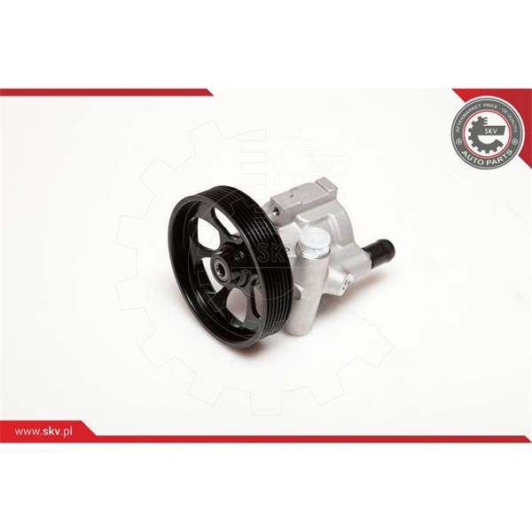 Servopump Esen skv 10SKV115 ESEN SKV