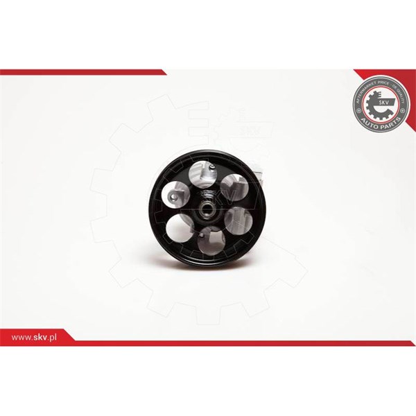 Servopump Esen skv 10SKV115 ESEN SKV