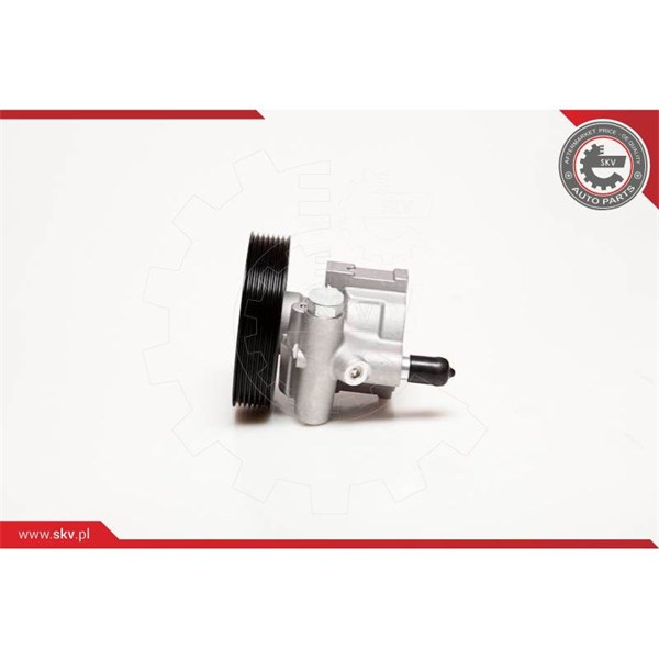 Servopump Esen skv 10SKV115 ESEN SKV