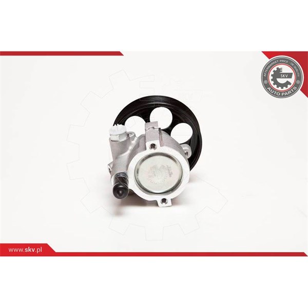 Servopump Esen skv 10SKV115 ESEN SKV