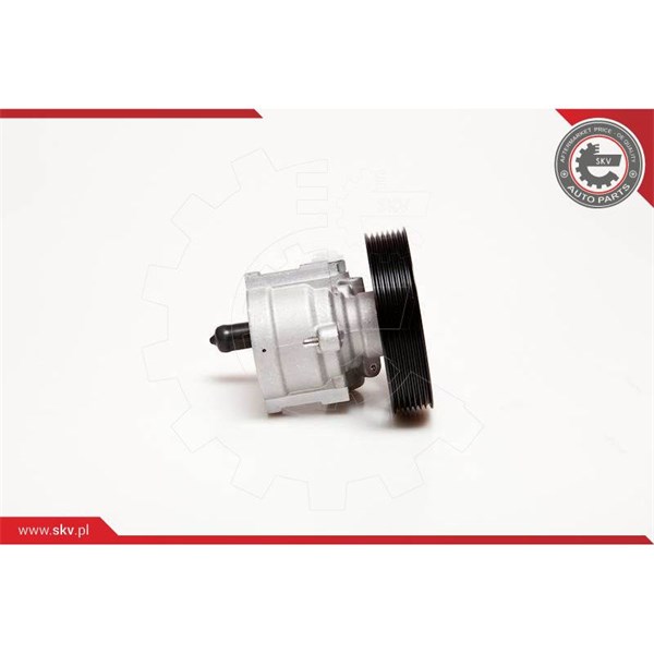 Servopump Esen skv 10SKV115 ESEN SKV