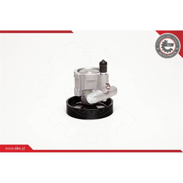 Servopump Esen skv 10SKV115 ESEN SKV