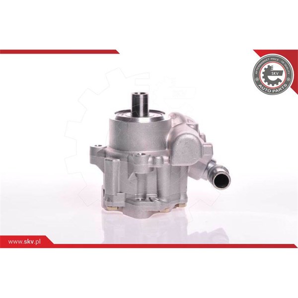 Servopump Esen skv 10SKV117 ESEN SKV
