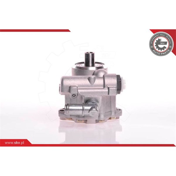 Servopump Esen skv 10SKV117 ESEN SKV