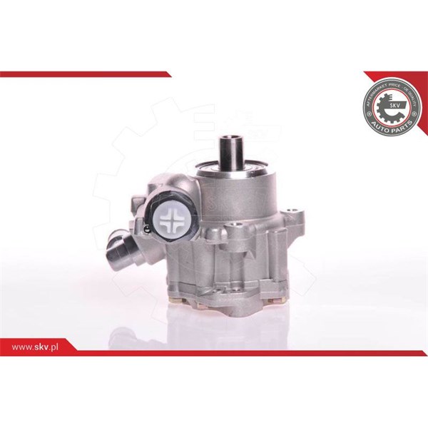 Servopump Esen skv 10SKV117 ESEN SKV