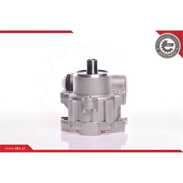 Servopump Esen skv 10SKV117 ESEN SKV