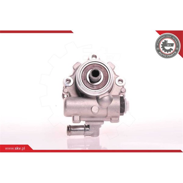 Servopump Esen skv 10SKV117 ESEN SKV