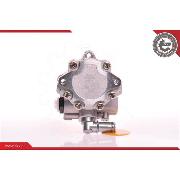 Servopump Esen skv 10SKV117 ESEN SKV