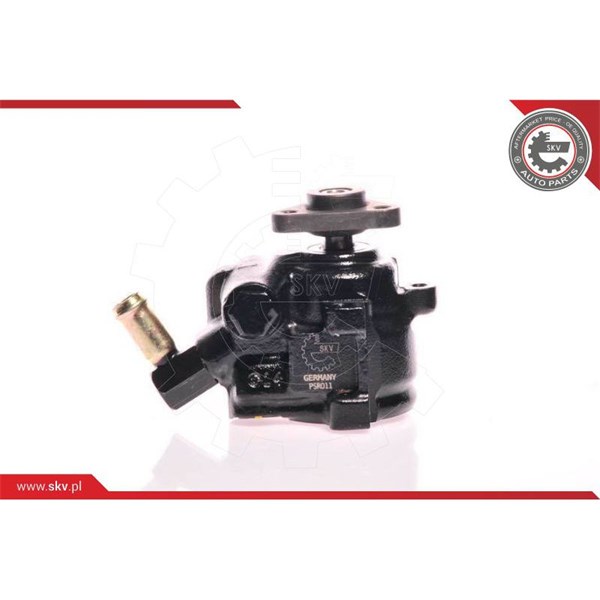 Servopump Esen skv 10SKV175 ESEN SKV