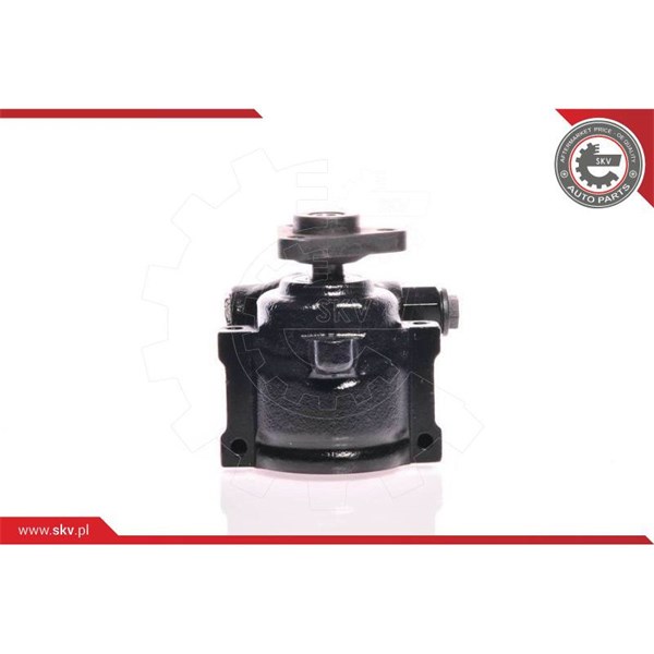 Servopump Esen skv 10SKV175 ESEN SKV
