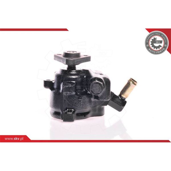 Servopump Esen skv 10SKV175 ESEN SKV
