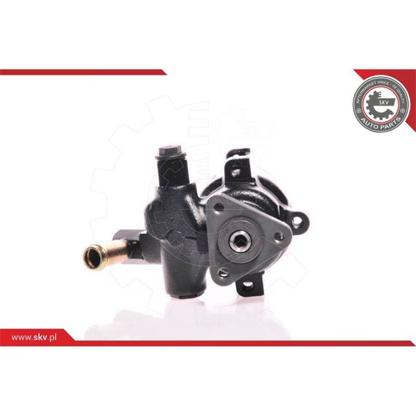 Servopump Esen skv 10SKV175 ESEN SKV
