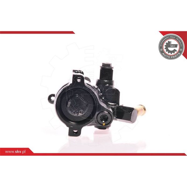 Servopump Esen skv 10SKV175 ESEN SKV