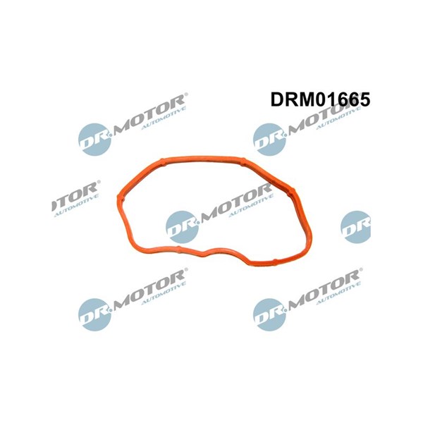 Packning, insugsgrenrör, Nedre Dr.motor automotive DRM01665 Dr.Motor Automotive